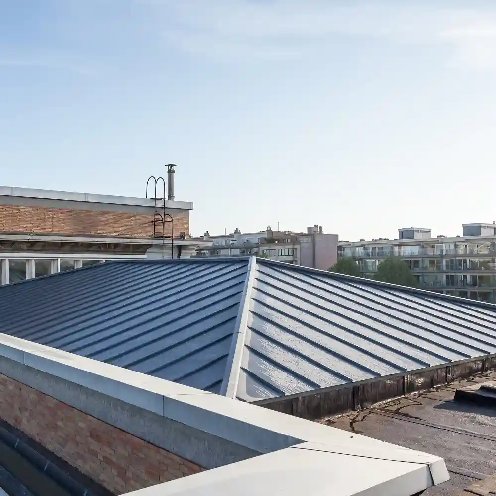 Vue d'une toiture arrondie en zinc