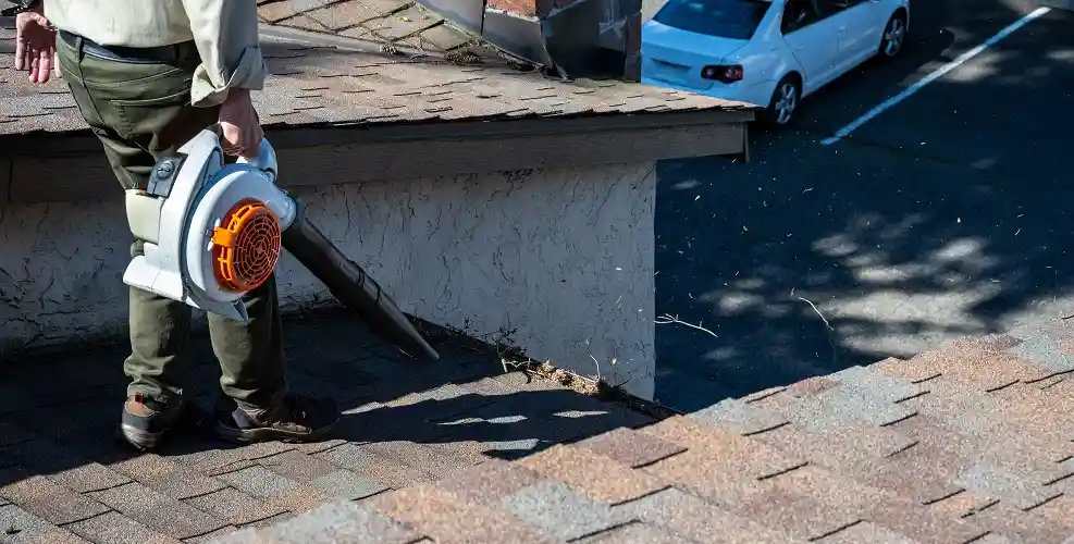 Nettoyage toiture Linas Essonne 91 – Art Toiture