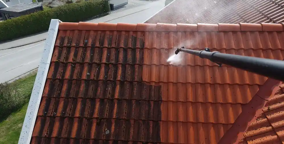 Traitement hydrofuge antimousse toiture Linas Essonne 91